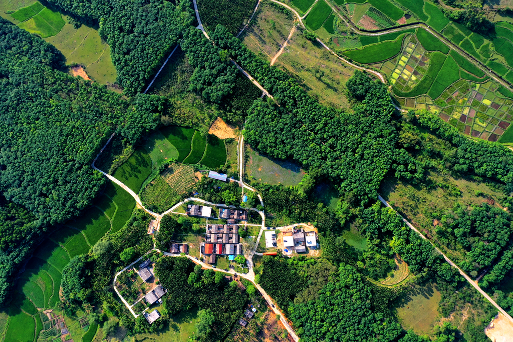 28圈官网-不凡成绩非凡,相信品牌的实力