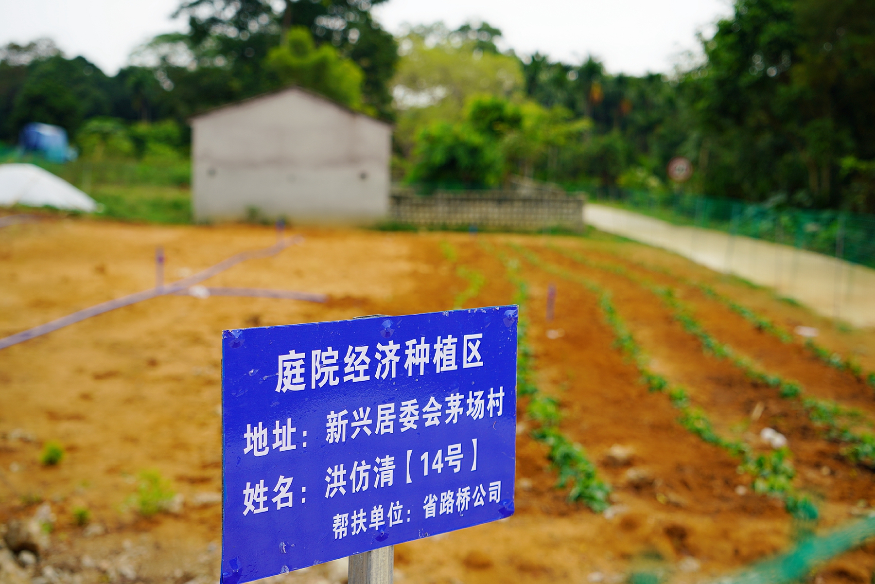 28圈官网-不凡成绩非凡,相信品牌的实力