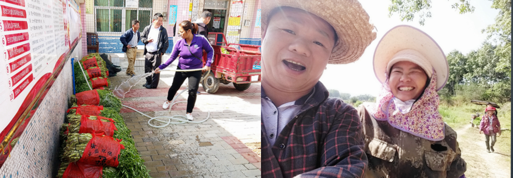 28圈官网-不凡成绩非凡,相信品牌的实力