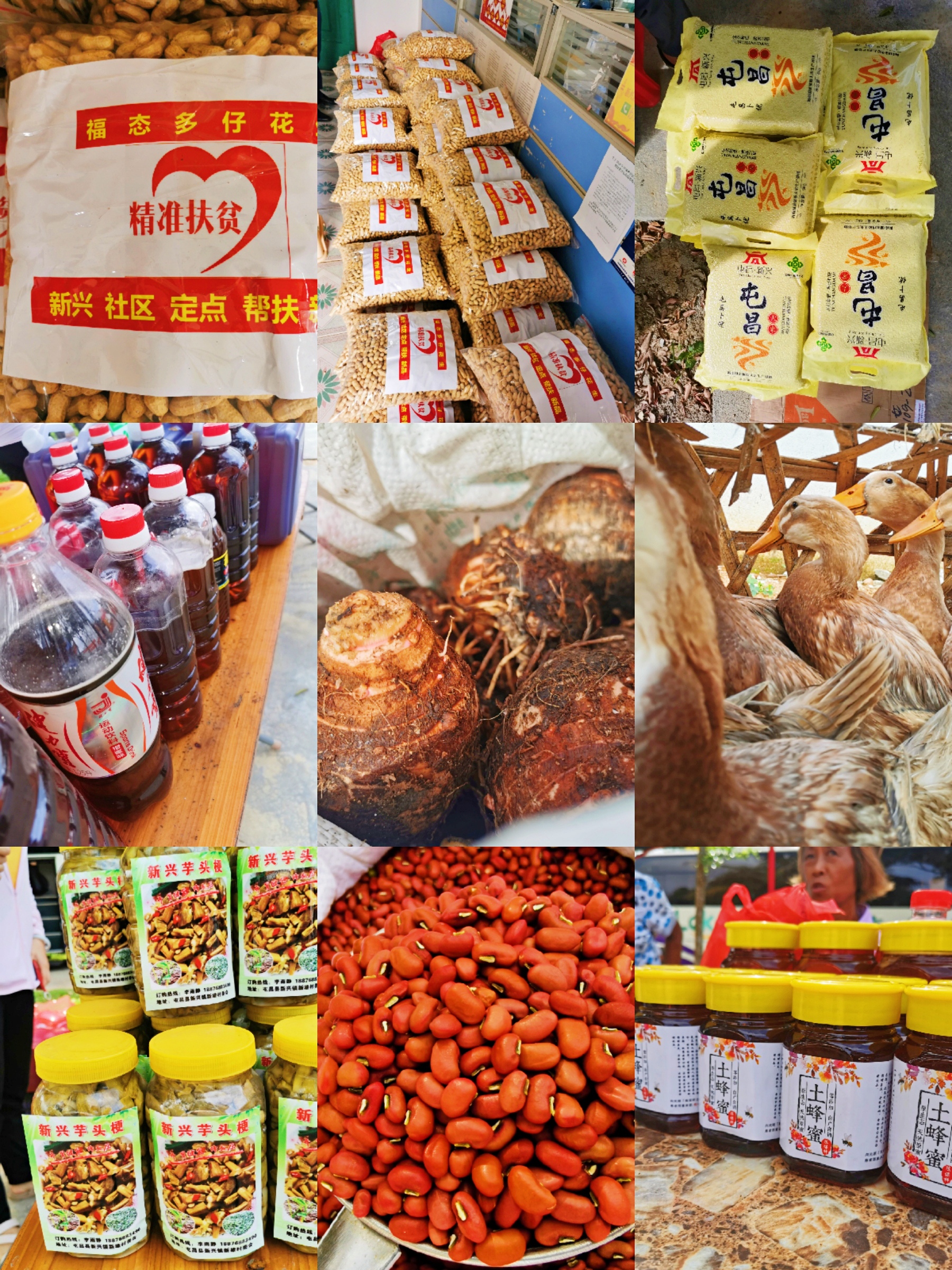 28圈官网-不凡成绩非凡,相信品牌的实力