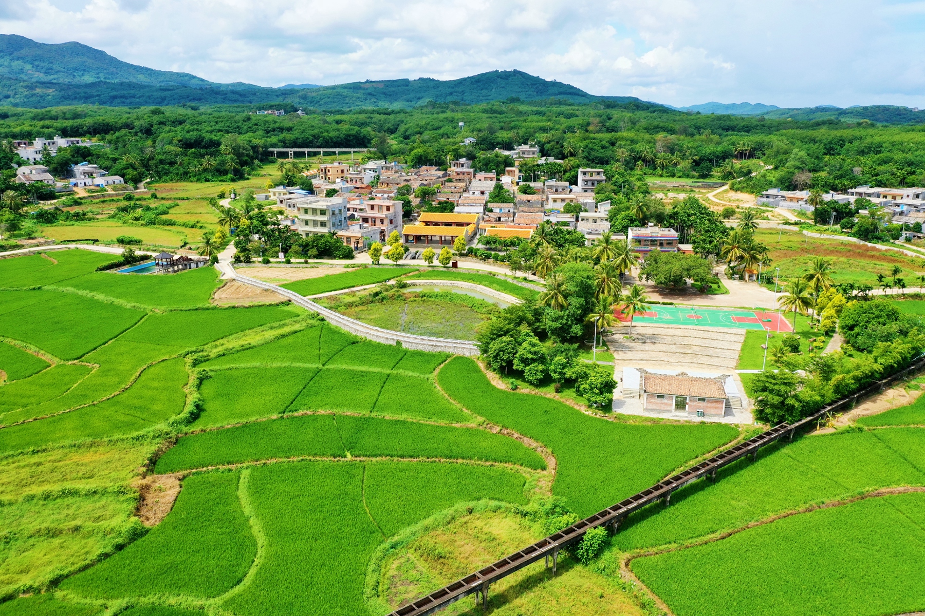 28圈官网-不凡成绩非凡,相信品牌的实力