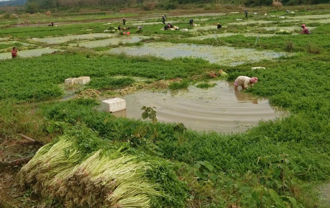 28圈官网-不凡成绩非凡,相信品牌的实力