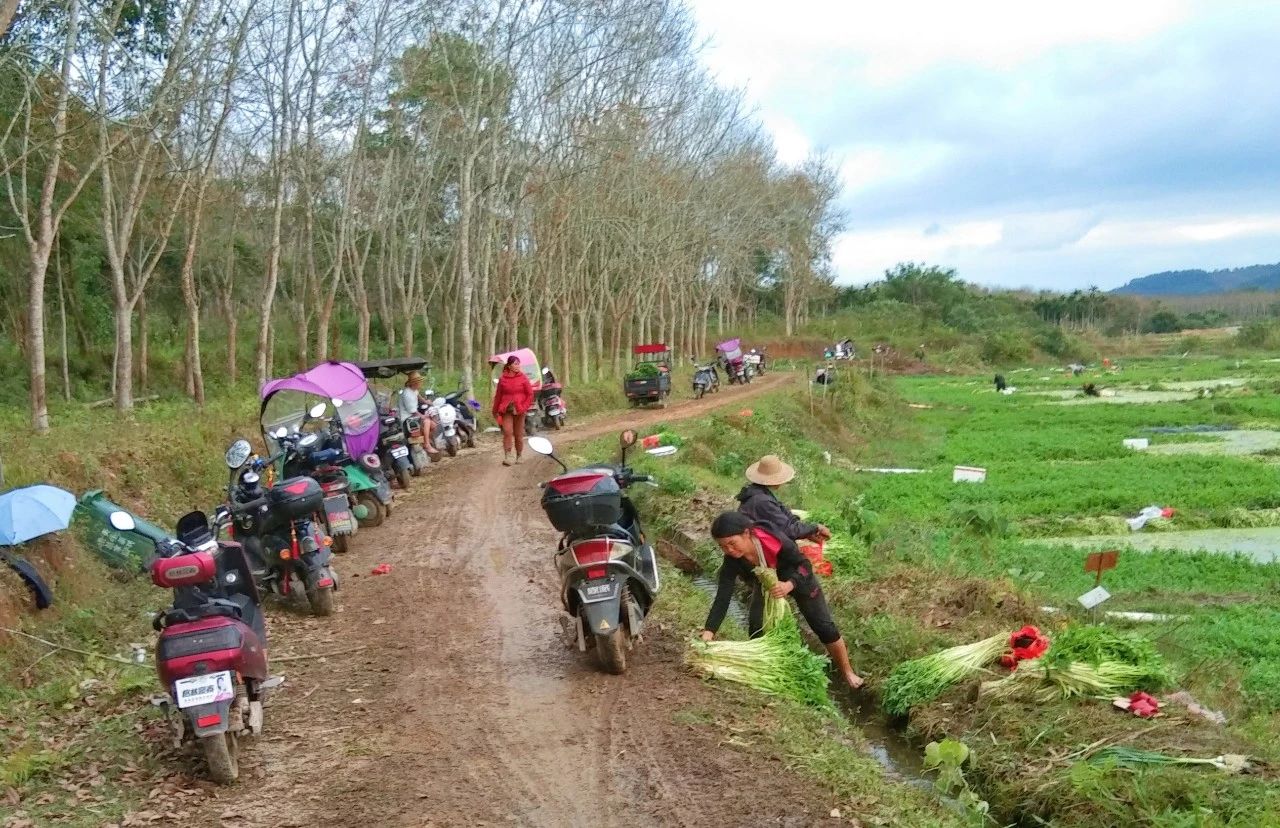 28圈官网-不凡成绩非凡,相信品牌的实力