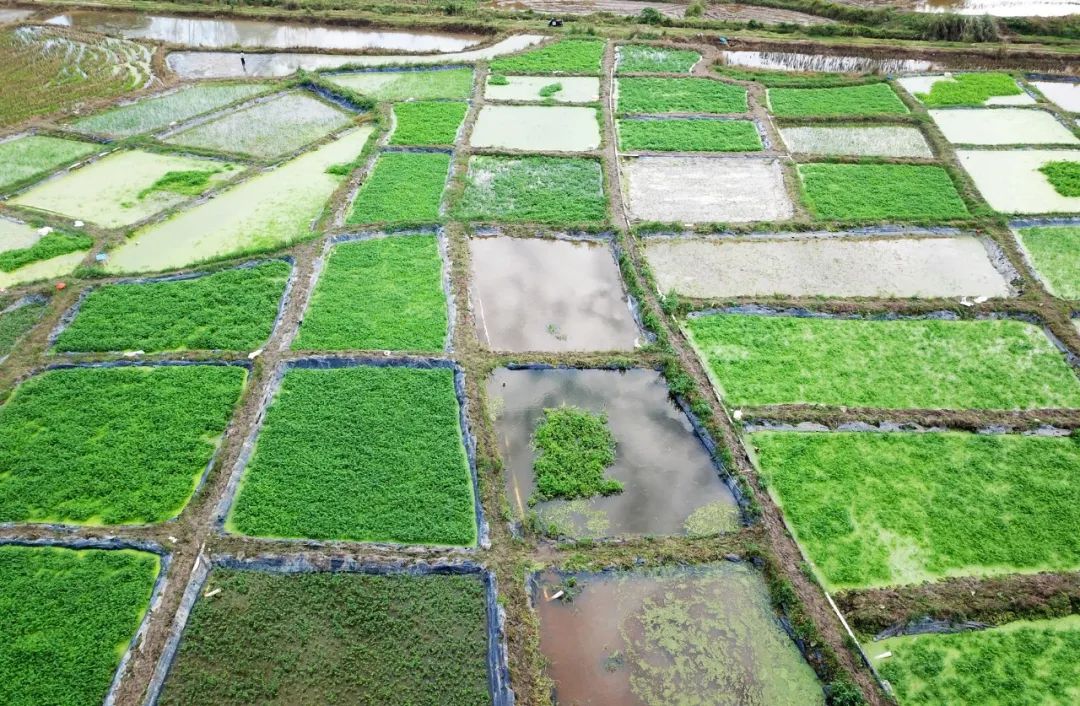 28圈官网-不凡成绩非凡,相信品牌的实力